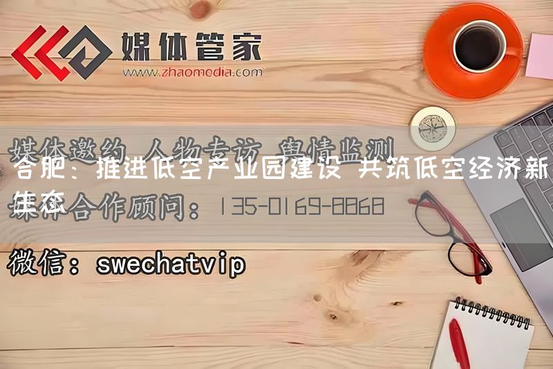 合肥:推进低空产业园建设 共筑低空经济新生态(图1) 合肥:推进低空产业园建设 共筑低空经济新生态(图1)
