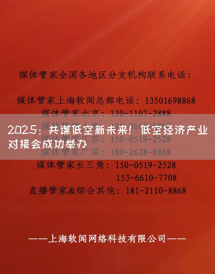 2025：共谋低空新未来！低空经济产业对接会成功举办(图1)