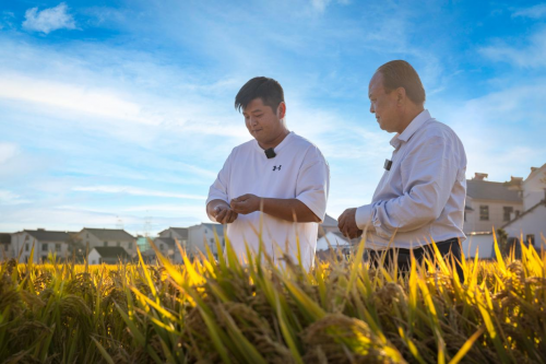 这届“新农人”是懂叠Buff的!常熟青年用科技、生态、农旅把“农”务成“爆款”(图5) 这届“新农人”是懂叠Buff的!常熟青年用科技、生态、农旅把“农”务成“爆款”(图5)