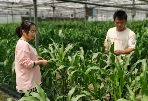 这届“新农人”是懂叠Buff的!常熟青年用科技、生态、农旅把“农”务成“爆款”(图2) 这届“新农人”是懂叠Buff的!常熟青年用科技、生态、农旅把“农”务成“爆款”(图2)