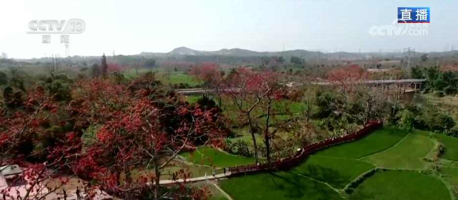 唱好“花为媒” 发展“花经济” 各地抢抓“春日经济”流量红利(图1) 唱好“花为媒” 发展“花经济” 各地抢抓“春日经济”流量红利(图1)