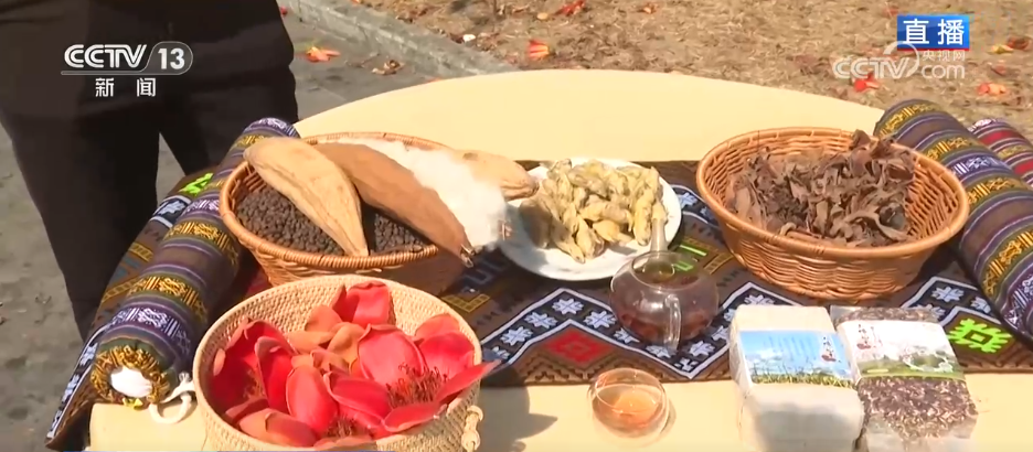 唱好“花为媒” 发展“花经济” 各地抢抓“春日经济”流量红利(图3) 唱好“花为媒” 发展“花经济” 各地抢抓“春日经济”流量红利(图3)