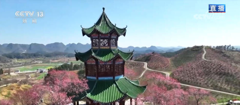 唱好“花为媒” 发展“花经济” 各地抢抓“春日经济”流量红利(图9) 唱好“花为媒” 发展“花经济” 各地抢抓“春日经济”流量红利(图9)