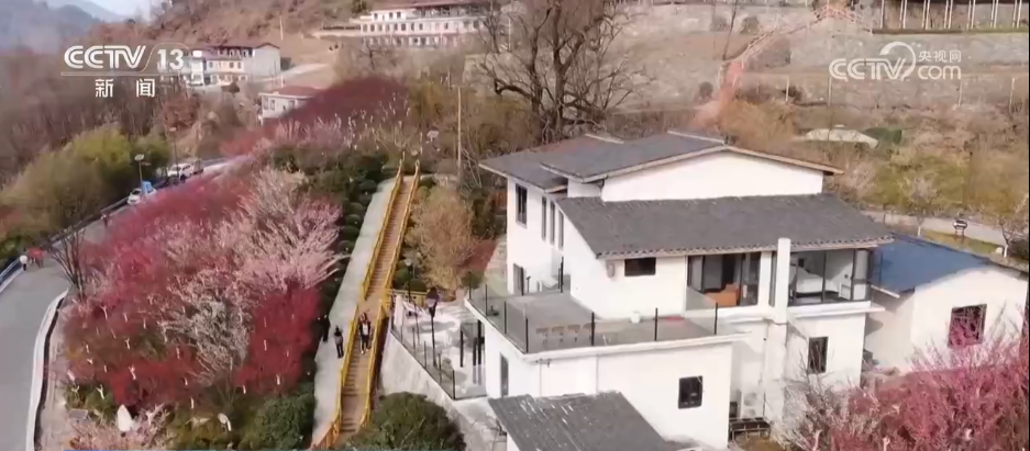 唱好“花为媒” 发展“花经济” 各地抢抓“春日经济”流量红利(图15) 唱好“花为媒” 发展“花经济” 各地抢抓“春日经济”流量红利(图15)