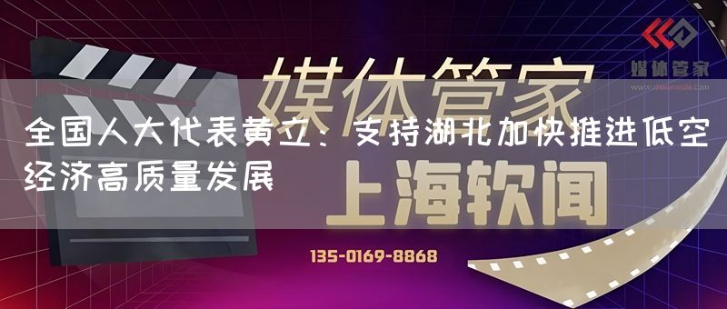 全国人大代表黄立:支持湖北加快推进低空经济高质量发展(图1) 全国人大代表黄立:支持湖北加快推进低空经济高质量发展(图1)