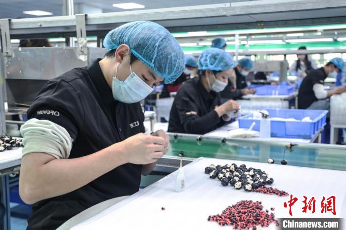 广东东莞“哪吒”旋风背后:“世界工厂”迈向进阶之路(图1) 广东东莞“哪吒”旋风背后:“世界工厂”迈向进阶之路(图1)