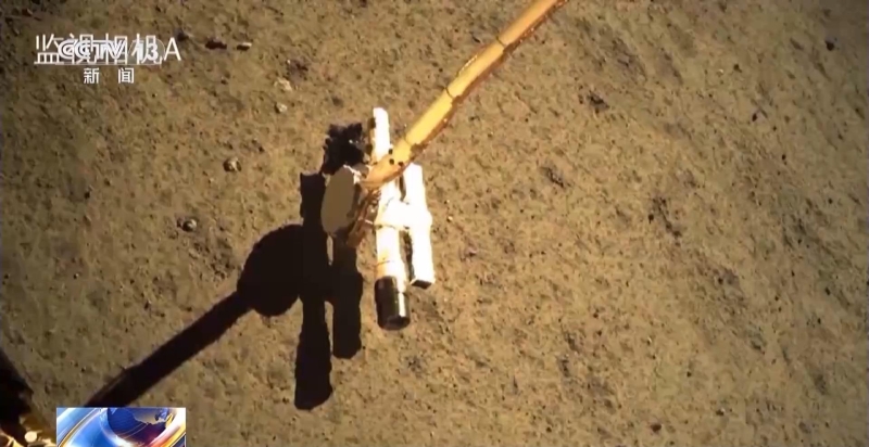 月背“土特产”将开放申请！先发给国内科学家研究(图5)