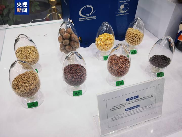 “太空种子”今日交付,太空快递里还有啥(图2) “太空种子”今日交付,太空快递里还有啥(图2)