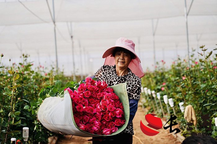 媒体管家： 拼多多式投资：用户信任与规模增长的双赢(图2)