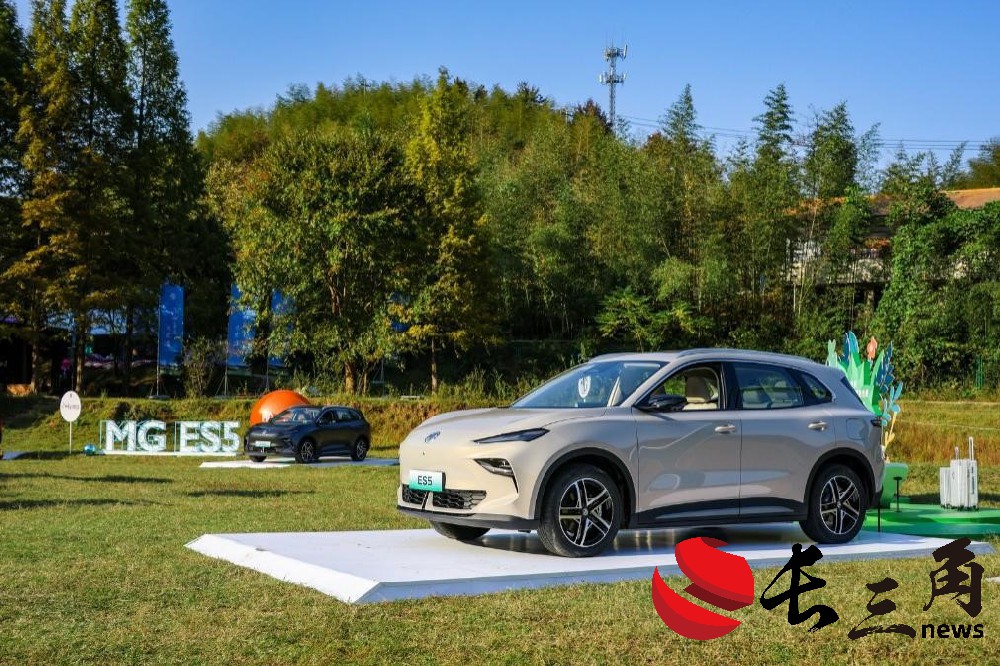 1731110966893238.jpg 媒体管家: 欧盟高筑“关税围墙” 中国车企多维度出海谋破局(图1)