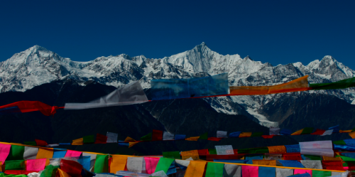 媒体管家: 电影《清道夫》——像冰川一样坚固而永恒的爱(图2) 媒体管家: 电影《清道夫》——像冰川一样坚固而永恒的爱(图2)