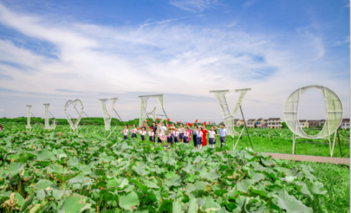 徐舍打造江南水乡特色丰收季,为中国农民丰收节增色(图7) 徐舍打造江南水乡特色丰收季,为中国农民丰收节增色(图7)