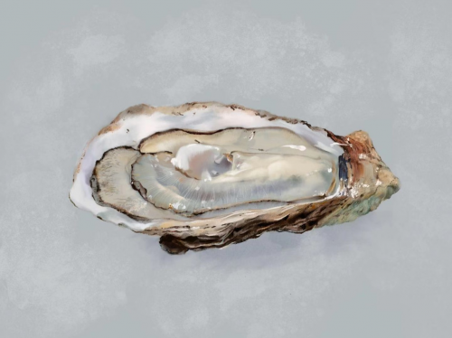 华为视觉设计师Emma:用画笔创作梦想的世界(图3) 华为视觉设计师Emma:用画笔创作梦想的世界(图3)