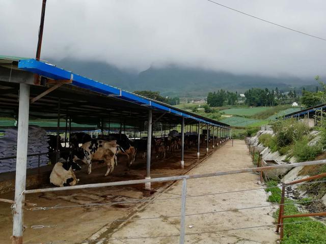 乳业技术博览会石家庄揭幕,新希望荣获“奶业振兴”殊荣(图6) 乳业技术博览会石家庄揭幕,新希望荣获“奶业振兴”殊荣(图6)