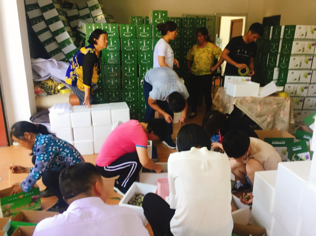 从众“愁”到众筹 九三学社中央携手京东数科助力旺苍“网红果”致富(图1)