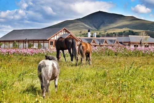 中国报道“祖国，你好”主题摄影大赛京津冀赛区在中国马镇启动(图7)
