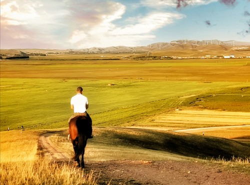 中国报道“祖国，你好”主题摄影大赛京津冀赛区在中国马镇启动(图8)