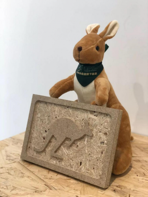 聚焦木博会第二日，澳思柏恩三重个性领跑人气榜(图3)